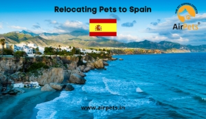 International Pet Shipping Services